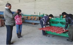 泊头的渤海压瓦机厂生产高&nbsp; &nbsp;